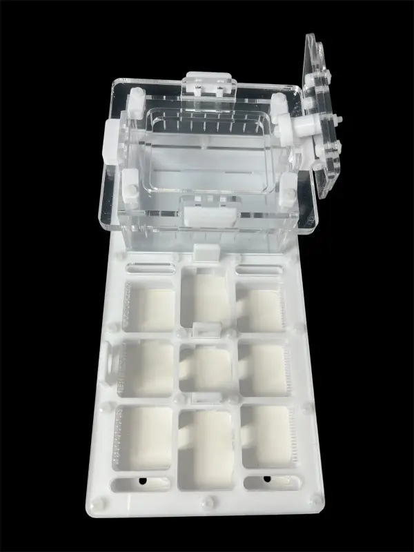 Муравьиная ферма ANTMART Apex White Б, 220×110 мм, сплошной гипс Г23