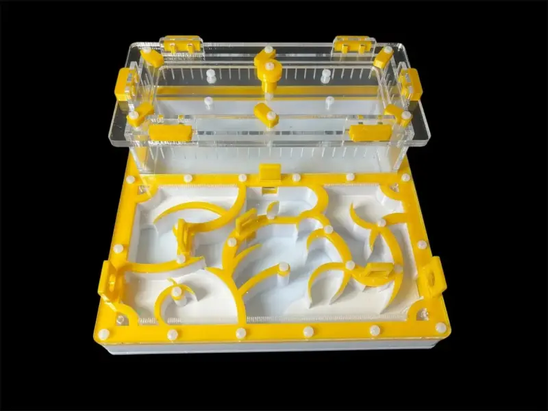 Муравьиная ферма ANTMART Origin Yellow A 200×200 мм