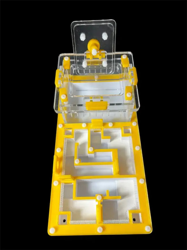 Муравьиная ферма ANTMART «Лабиринт Yellow» 220×110 мм, вариант A