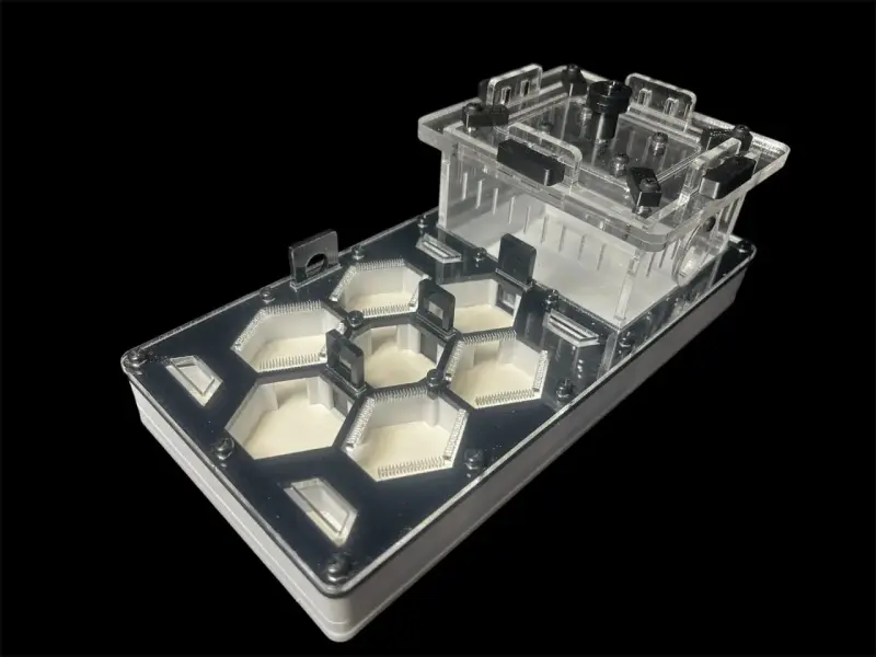 Муравьиная ферма ANTMART Соты Black 220x110, Вариант Б
