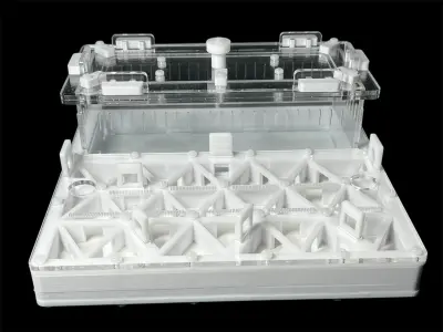 Мурашина ферма ANTMART Trigon White, варіант B, 200×200 мм