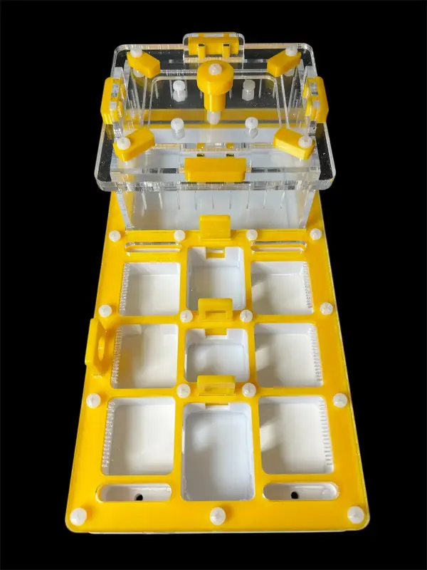 Муравьиная ферма ANTMART Apex Yellow, вариант A, 220×110 мм