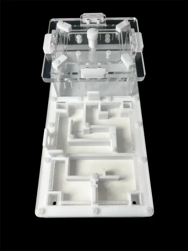 Муравьиная ферма ANTMART Labyrinth White 220×110 мм, Вариант Б