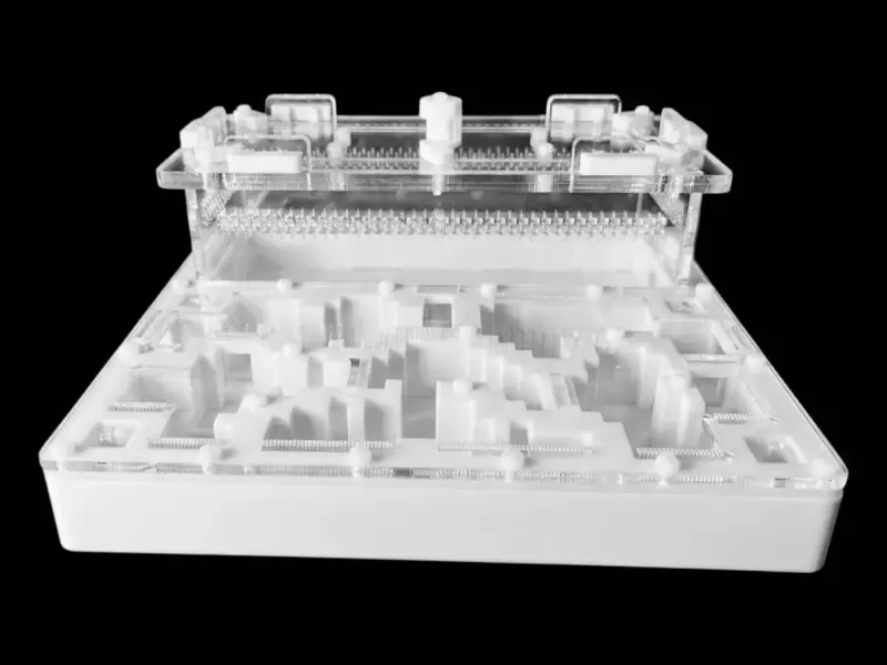 Муравьиная ферма Pixel White A 200×200 мм, PETG, гипс G23 6 мм
