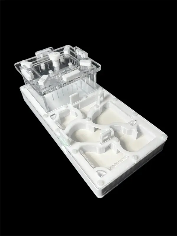 Муравьиная ферма ANTMART Organic White 220×110 мм, Вариант Б
