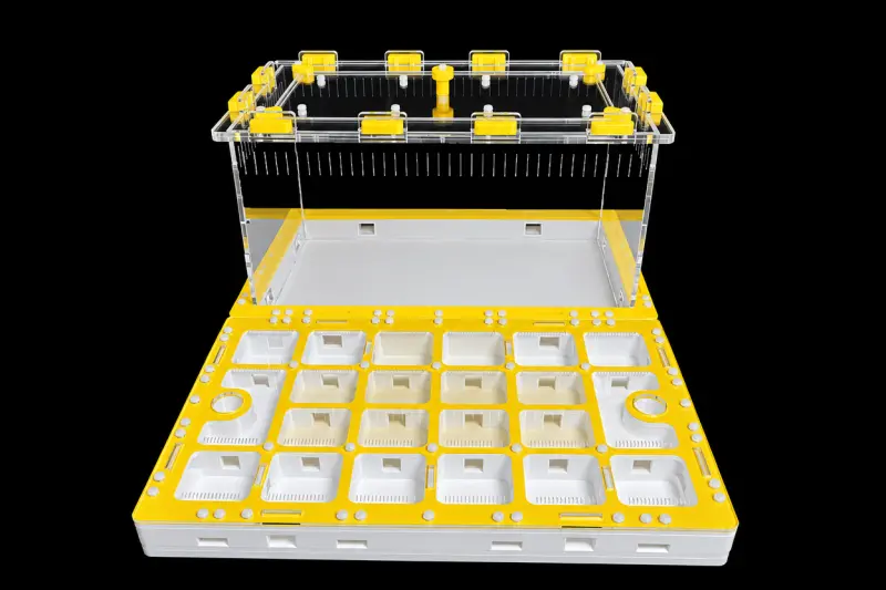Модульна мурашина ферма Prism Yellow 300×360 мм, гіпс Г-23 6 мм, висота над гіпсом 15 мм