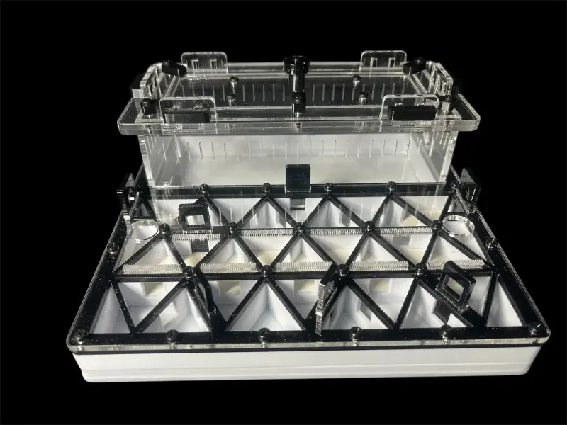 Муравьиная ферма ANTMART Trigon Black, вариант A, 200×200 мм