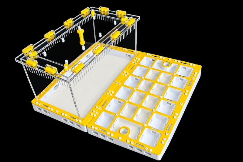 Модульна мурашина ферма Prism Yellow 300×360 мм, гіпс Г-23 6 мм, висота над гіпсом 15 мм