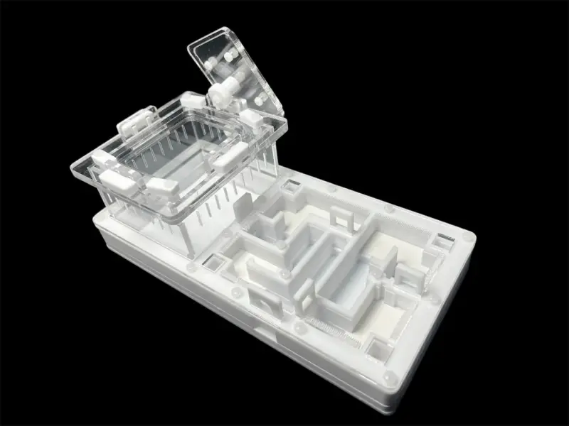 Формикарий ANTMART Labyrinth White 220x110 мм, Вариант А