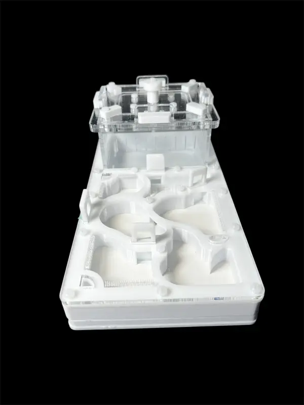 Муравьиная ферма ANTMART Organic White 220×110 мм, Вариант Б