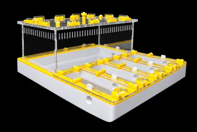 Професійна мурашина ферма Core Yellow 30×30 см, гіпс 10 мм, 20 мм над гіпсом