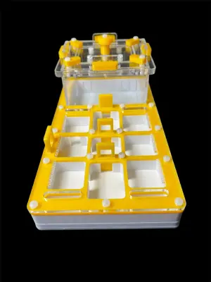 ANTMART Apex Yellow B Ant Farm, 220×110 mm