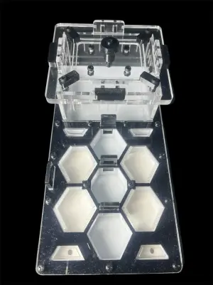 Мурашина ферма ANTMART Соти Black 220×110 мм, Варіант А