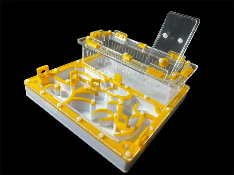 Муравьиная ферма ANTMART Origin Yellow A 200×200 мм