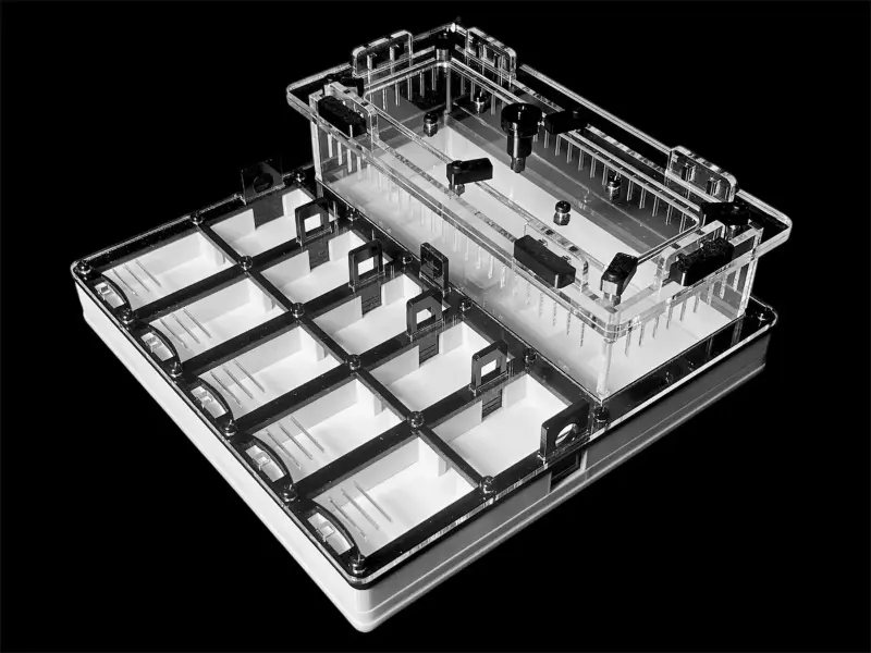 Гипсовая муравьиная ферма ANTMART Grid Black 200×200, Вариант Б