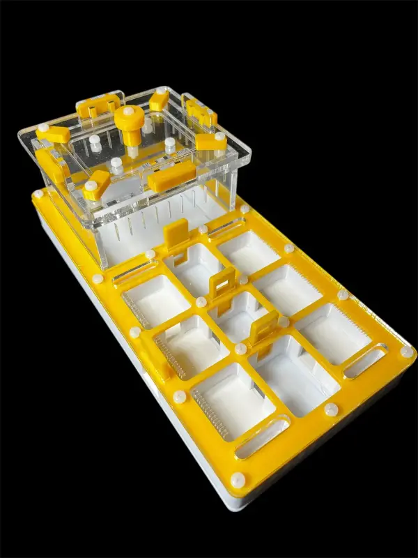 Муравьиная ферма ANTMART Apex Yellow, вариант A, 220×110 мм