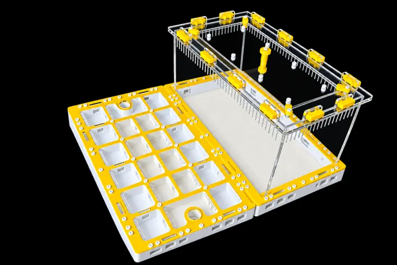 Модульна мурашина ферма Prism Yellow 300×360 мм, гіпс Г-23 6 мм, висота над гіпсом 15 мм