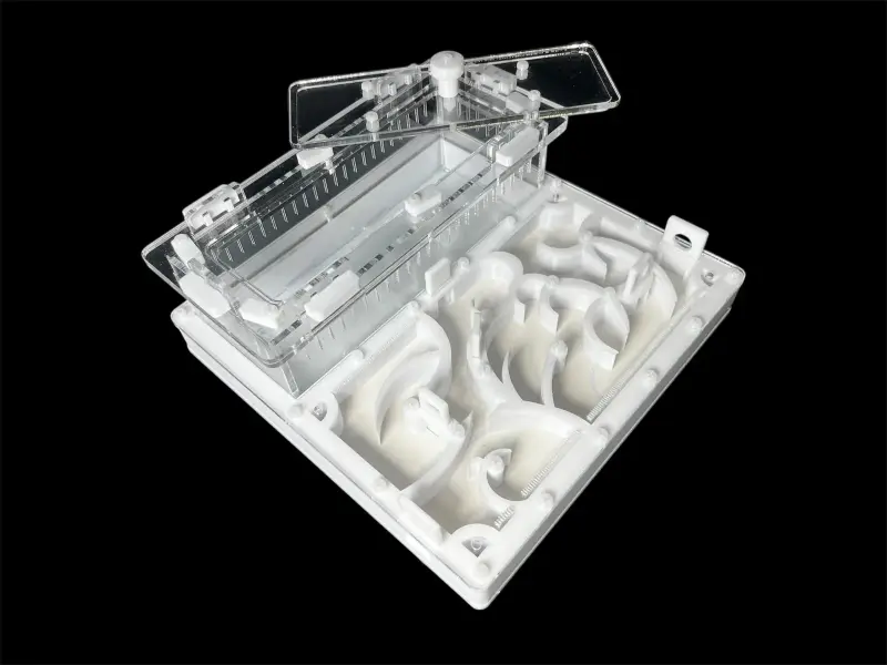 Муравьиная ферма ANTMART Origin White 200×200 Full Gypsum, вариант Б