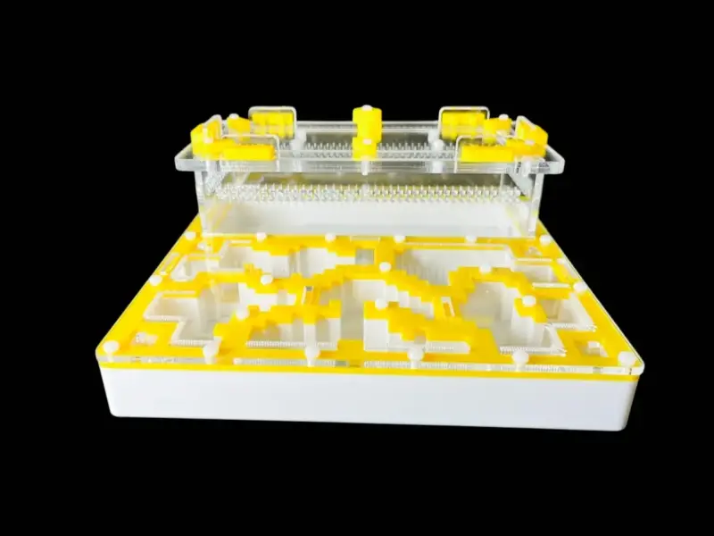 Муравьиная ферма Pixel Yellow, вариант А, 200 × 200 мм