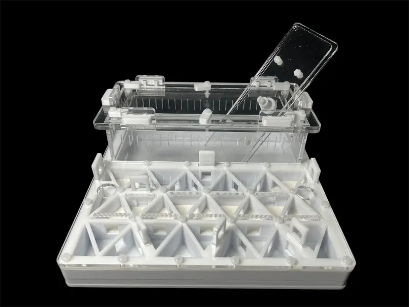 Муравьиная ферма ANTMART Trigon White А 200×200 мм, частичный гипс Г23