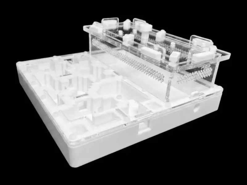 Муравьиная ферма Pixel White A 200×200 мм, PETG, гипс G23 6 мм