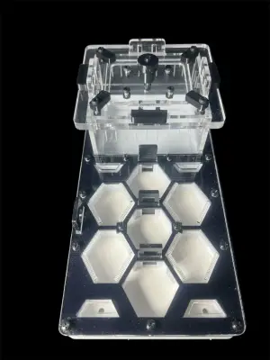 Мурашина ферма ANTMART Соти Black 220x110, Варіант Б