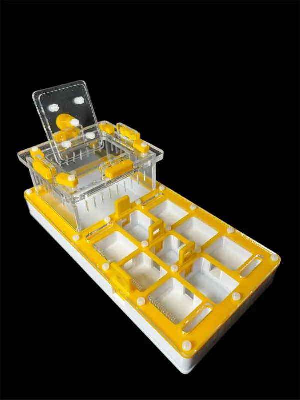 Муравьиная ферма ANTMART Apex Yellow, вариант A, 220×110 мм