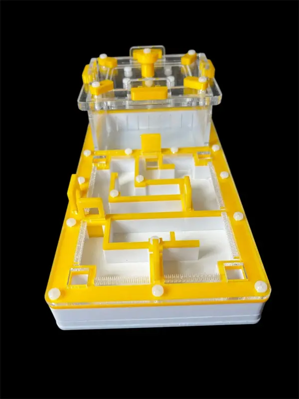 Муравьиная ферма ANTMART Labyrinth Yellow 220x110, вариант Б
