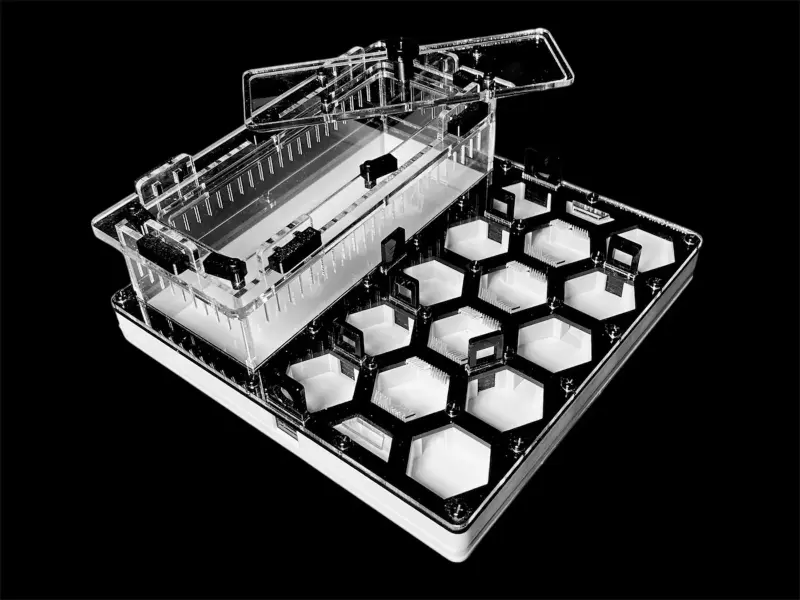 Муравьиная ферма ANTMART Соты Black Б, 200×200 мм