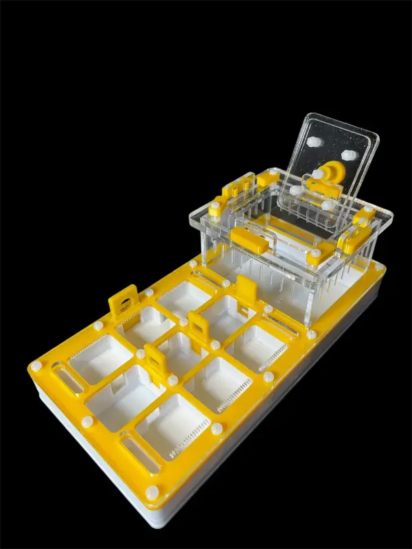 Муравьиная ферма ANTMART Apex Yellow, вариант A, 220×110 мм