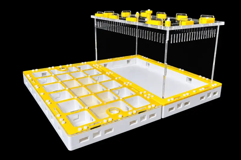Модульна мурашина ферма Prism Yellow 300×360 мм, гіпс Г-23 6 мм, висота над гіпсом 15 мм