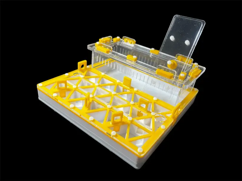 Муравьиная ферма ANTMART Trigon Yellow, вариант А, 200×200 мм