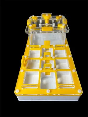 Мурашина ферма ANTMART Apex Yellow, варіант A, 220×110 мм