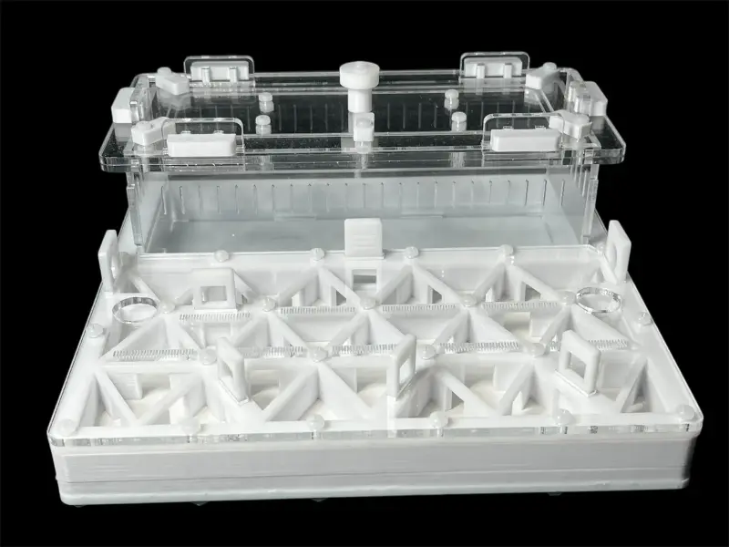 Муравьиная ферма ANTMART Trigon White, вариант B, 200×200 мм