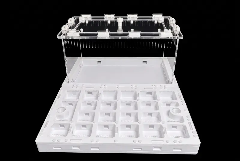 Модульна мурашина ферма Prism White 300×360 мм, гіпс Г-23 6 мм, 15 мм над гіпсом