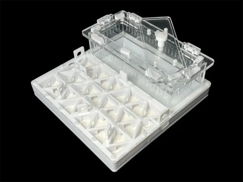 Муравьиная ферма ANTMART Trigon White, вариант B, 200×200 мм