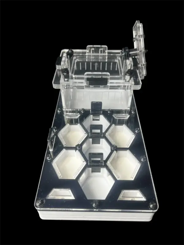 Муравьиная ферма ANTMART Соты Black 220×110 мм, Вариант А