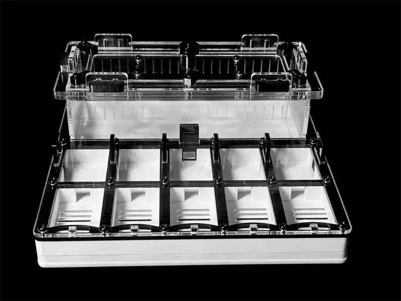 Гипсовая муравьиная ферма ANTMART Grid Black 200×200, Вариант Б