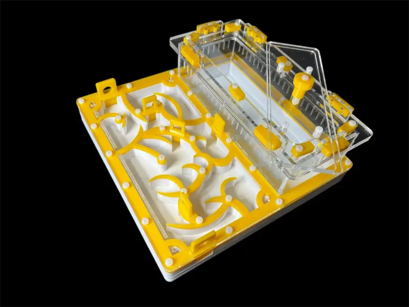 Муравьиная ферма ANTMART Origin Yellow 200×200 мм с гипсом Г-23, вариант Б