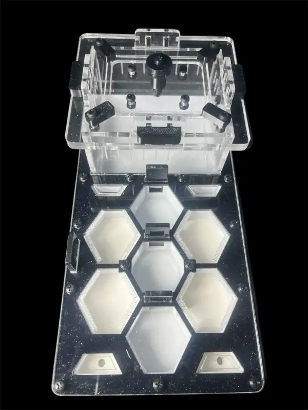 Муравьиная ферма ANTMART Соты Black 220×110 мм, Вариант А