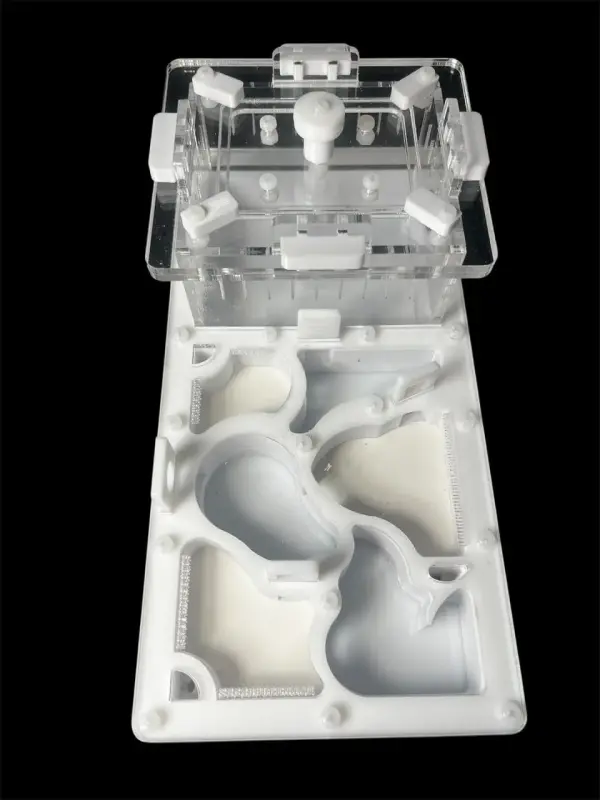 Формикарий ANTMART Organic White 220x110 мм, Вариант А