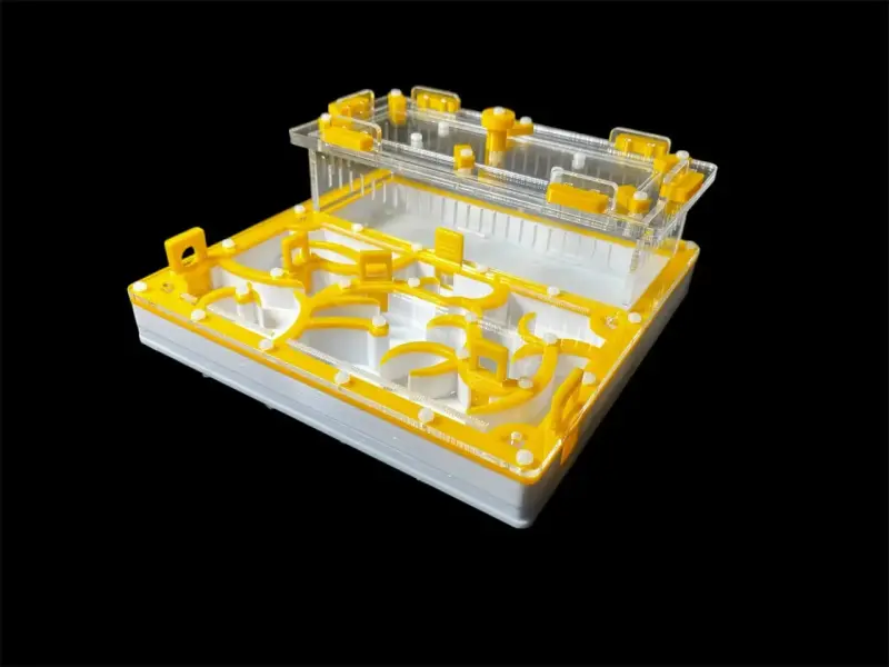 Муравьиная ферма ANTMART Origin Yellow A 200×200 мм
