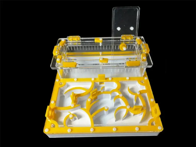 Муравьиная ферма ANTMART Origin Yellow A 200×200 мм
