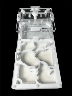 Мурашина ферма ANTMART Organic White 220×110 мм, Варіант Б