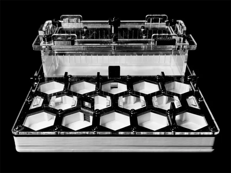 Муравьиная ферма ANTMART Соты Black Б, 200×200 мм