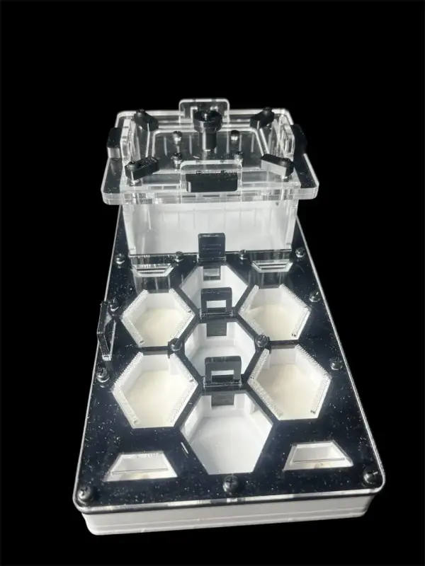 Муравьиная ферма ANTMART Соты Black 220×110 мм, Вариант А