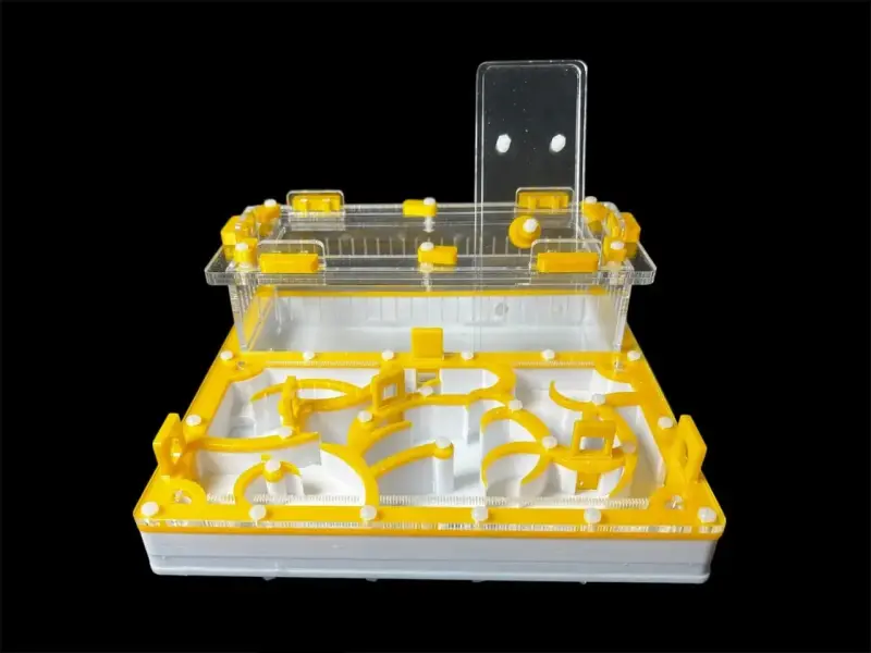 Муравьиная ферма ANTMART Origin Yellow A 200×200 мм