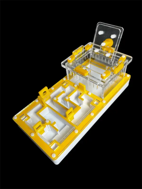 Муравьиная ферма ANTMART «Лабиринт Yellow» 220×110 мм, вариант A