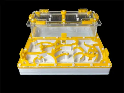 Мурашина ферма ANTMART Origin Yellow 200×200 мм із гіпсом Г-23, варіант Б