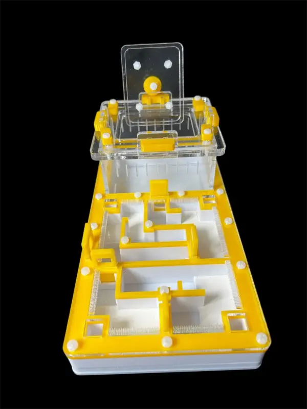 Муравьиная ферма ANTMART «Лабиринт Yellow» 220×110 мм, вариант A